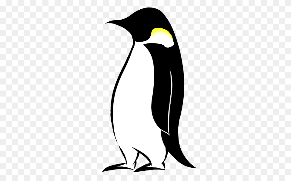 Empire Clipart Cartoon, King Penguin, Animal, Bird, Penguin Free Transparent Png