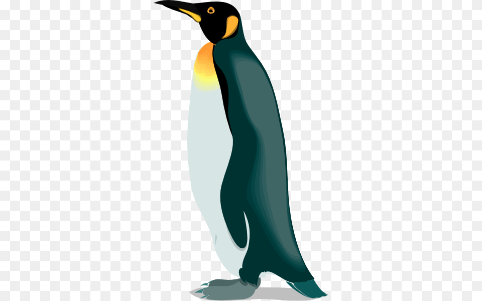 Empire Clipart Penguin, Animal, Bird, King Penguin Free Png Download