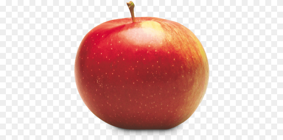 Empire Empire Apple, Food, Fruit, Plant, Produce Png Image