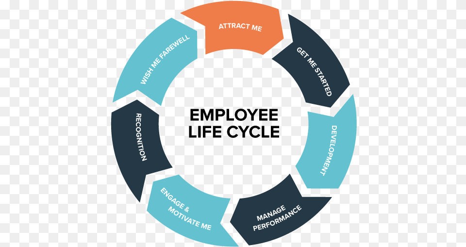 Employee Life Cycle Uk, Ammunition, Grenade, Weapon Png