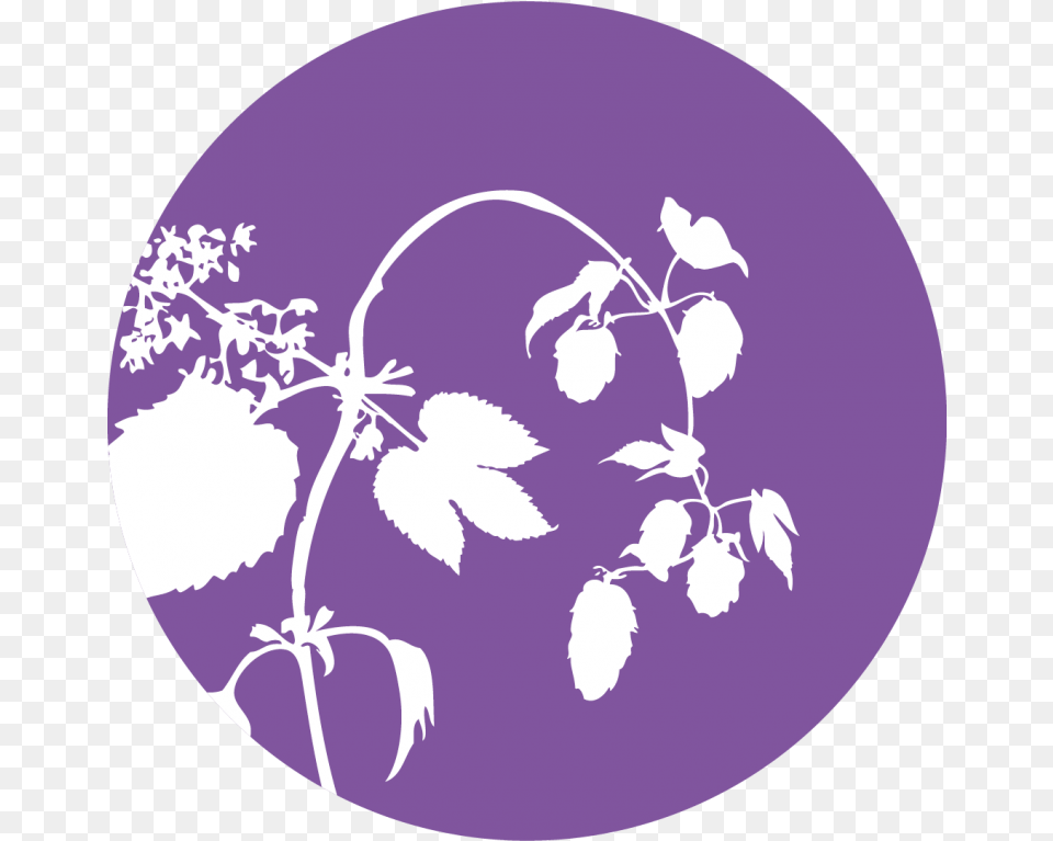 Empty Capsule Shells Viola, Purple, Plant, Leaf, Herbs Free Png