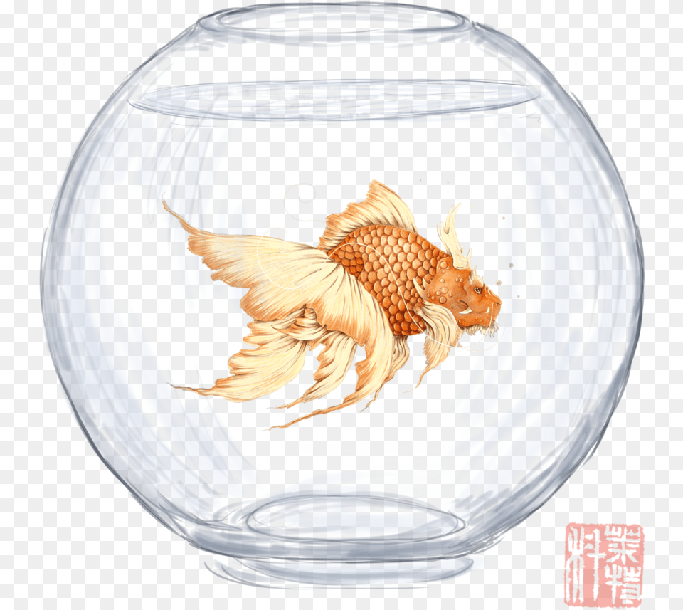 Empty Goldfish Bowl Marine Invertebrates, Animal, Fish, Sea Life, Bird Free Png Download