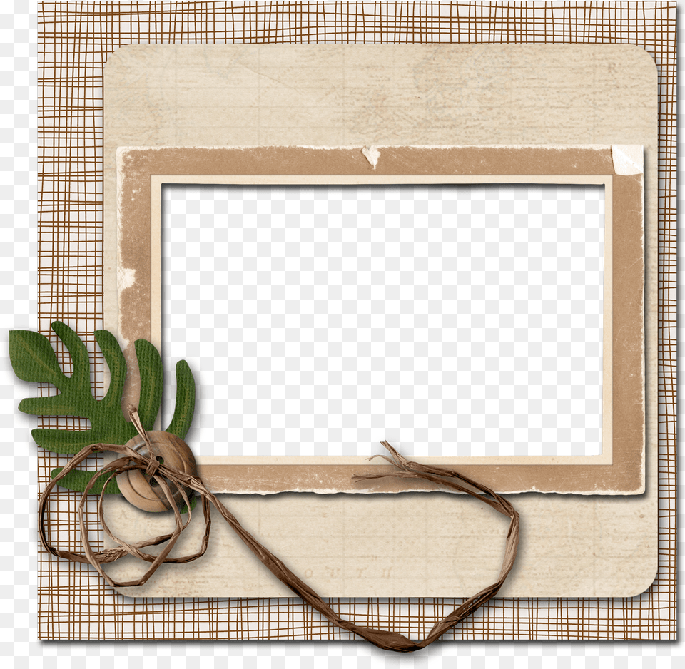 Empty Picture Frame Picture Frame, Leaf, Plant, Blackboard Png Image