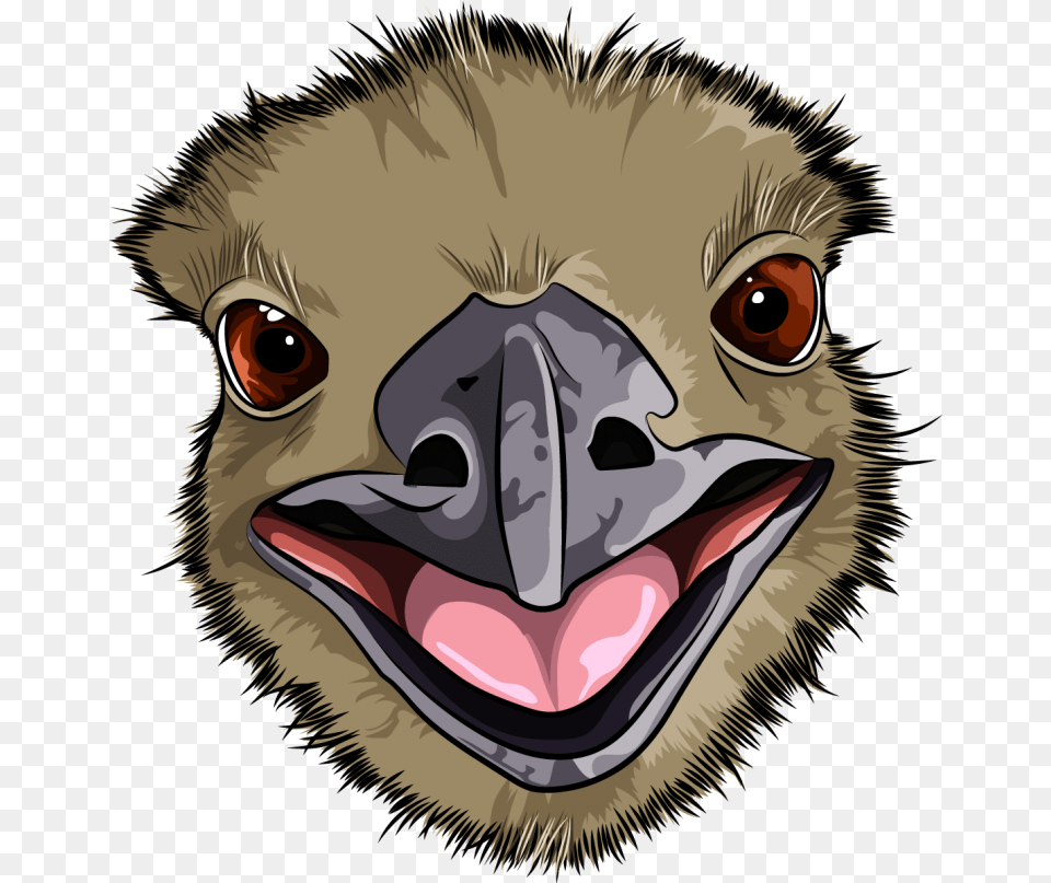 Emu, Animal, Beak, Bird, Face Free Transparent Png