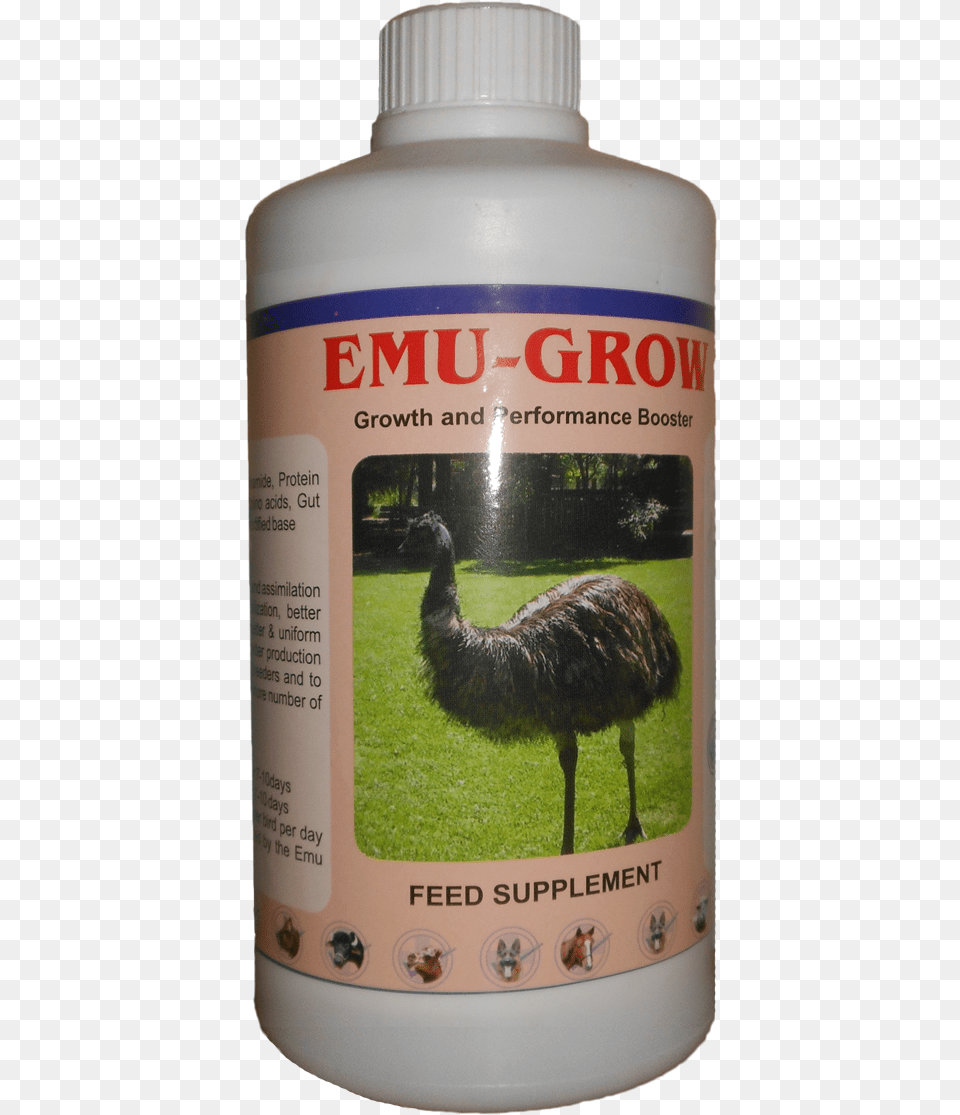 Emu, Animal, Bird, Bottle, Can Png