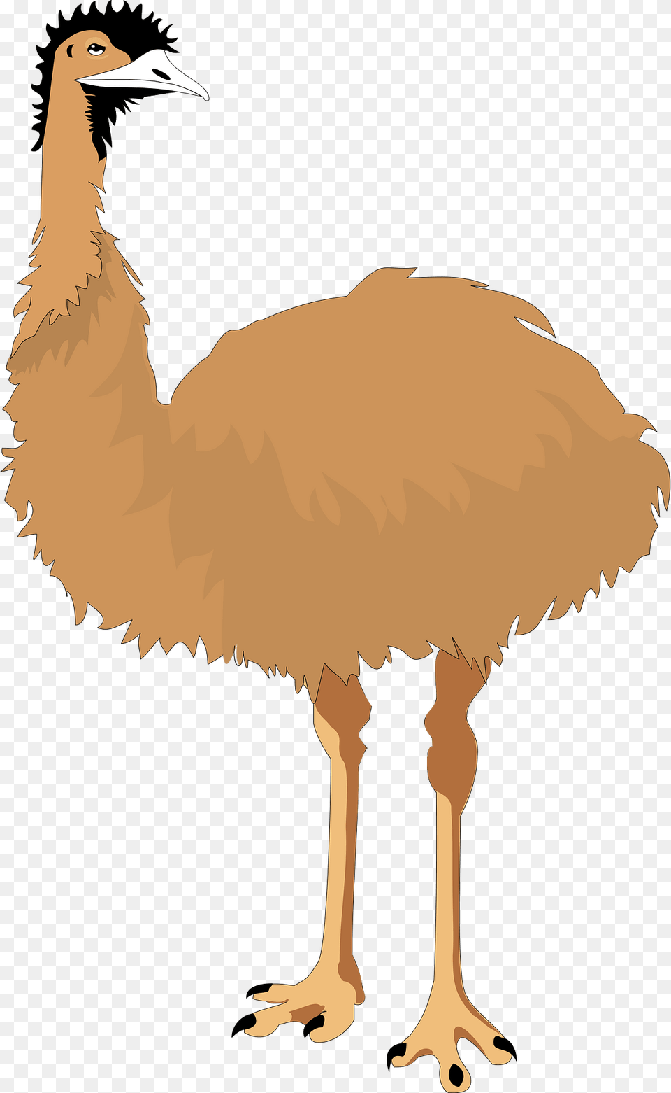 Emu Clipart, Animal, Bird, Fish, Sea Life Free Png Download