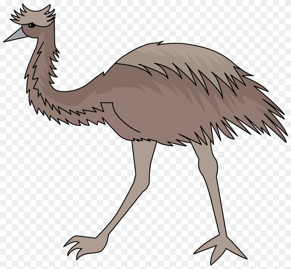 Emu Clipart, Animal, Bird, Fish, Sea Life Free Png Download