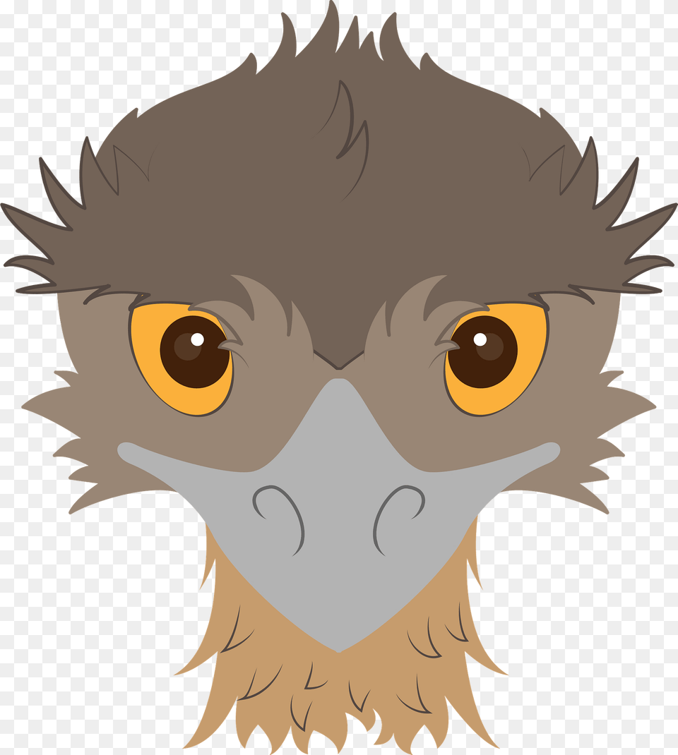 Emu Face Clipart, Baby, Person, Animal, Bird Png