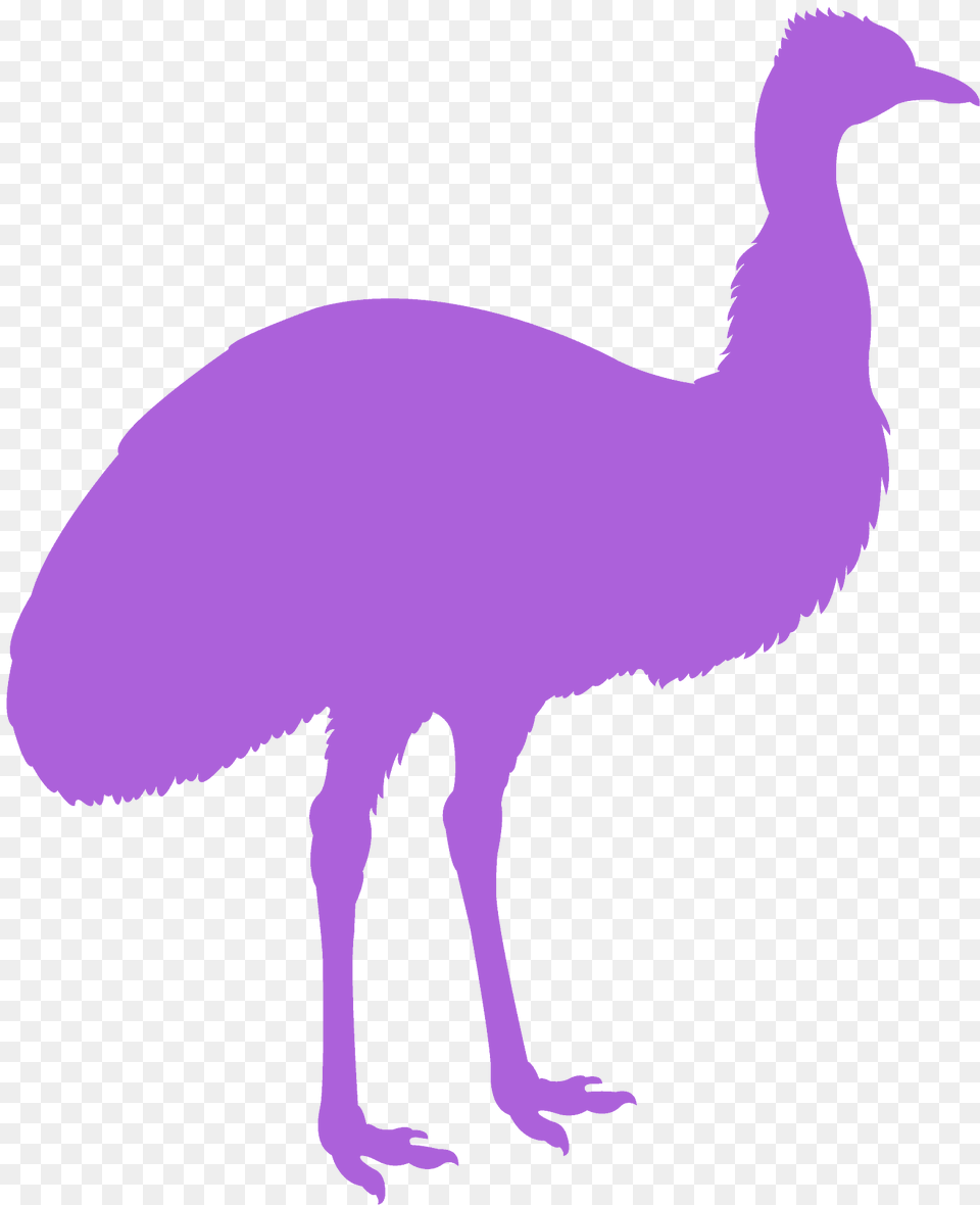 Emu Silhouette, Animal, Bird Free Png Download