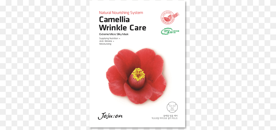 En Camellia Wrinkle Care Facial, Flower, Petal, Plant, Pollen Png Image