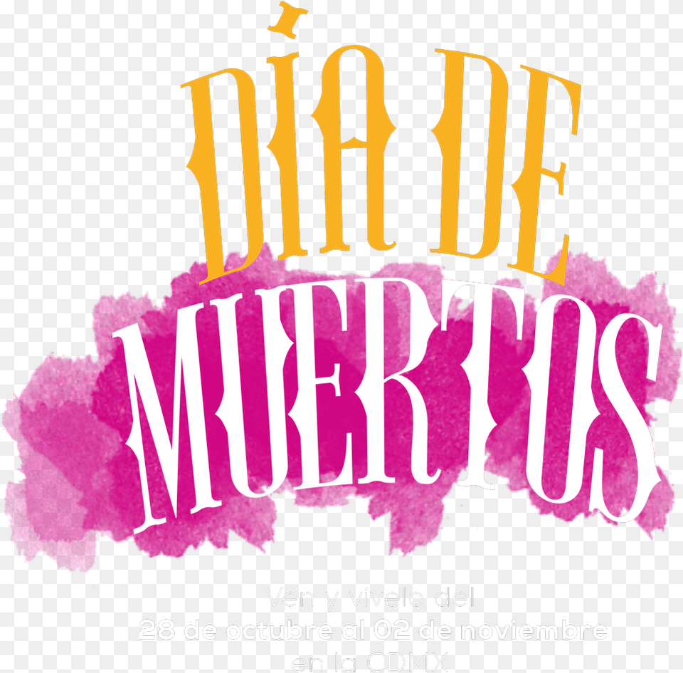 En Conclusin Creemos Que El Da De Muertos Poster, Advertisement, Baby, Person, Text Free Png Download