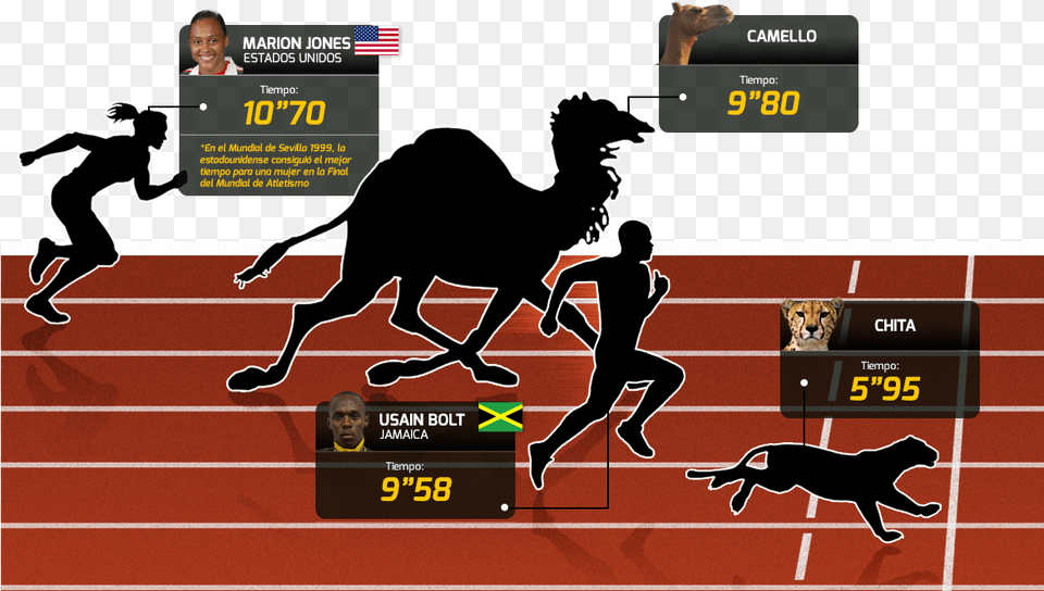 En El Reino Animal Usain Bolt No Podra Ser El Ms Arabian Camel, Adult, Person, Man, Male Png Image