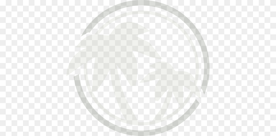 En Esta Seccin Encontrar Nuestra Circle, Leaf, Plant, Logo, Person Png