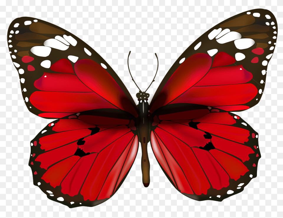 En Guzel Kelebek Resimleri Fotograflari A Butterflies Moths, Appliance, Ceiling Fan, Device, Electrical Device Free Transparent Png