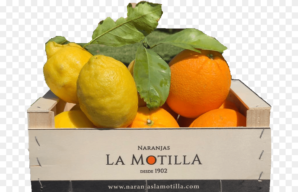 En La Tienda Online De Naranjas La Motilla Encontrars, Citrus Fruit, Food, Fruit, Lemon Png