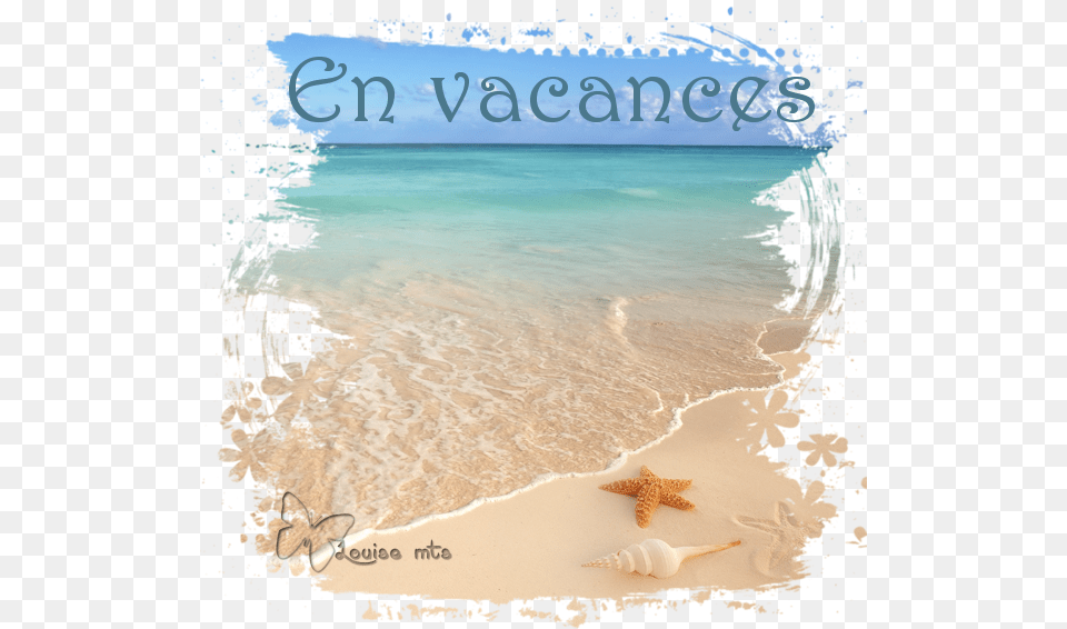 En Vacances Patricia, Summer, Animal, Sea Life, Invertebrate Free Png Download