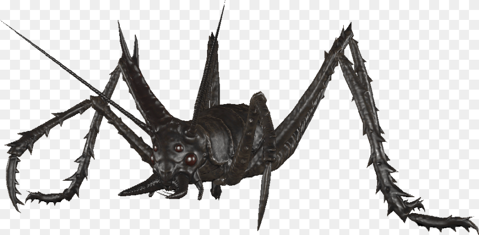 Enccavecricket02 Fallout Cave Cricket Black, Animal, Cricket Insect, Insect, Invertebrate Png Image
