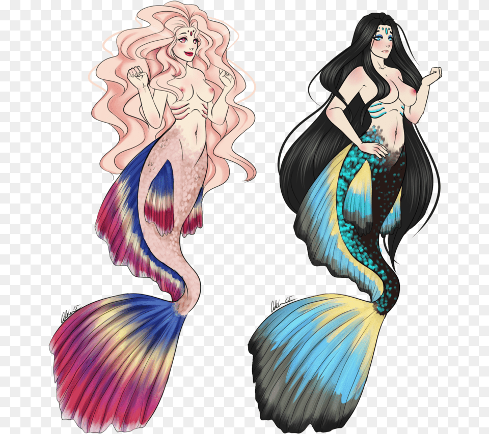 Enchanted Drawing Mermaid Merman Drawing, Adult, Female, Person, Woman Free Transparent Png
