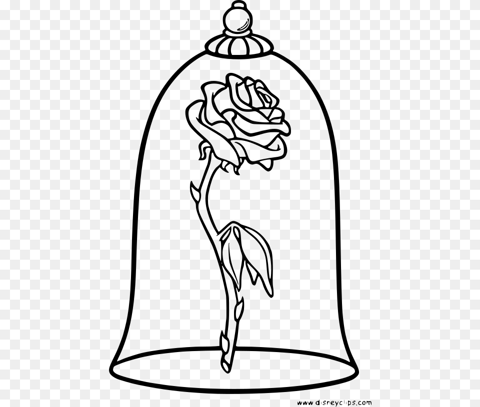 Enchanted Rose Beauty And The Beast Drawing, Gray Free Png