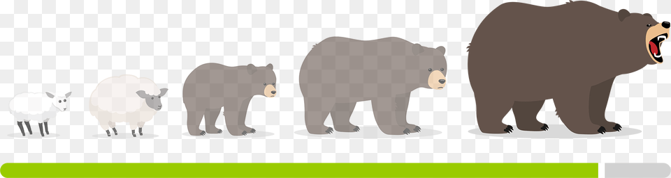 Encrypting Your Passwords In Remembear Grizzly Bear, Animal, Mammal, Wildlife, Bird Free Png Download