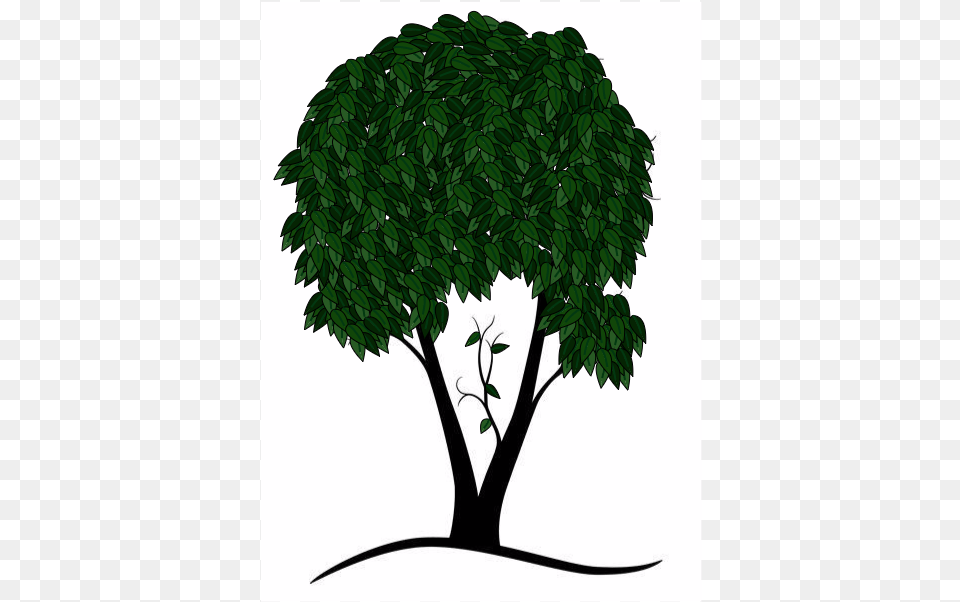 End Gif With Trees, Plant, Tree, Green, Sycamore Png