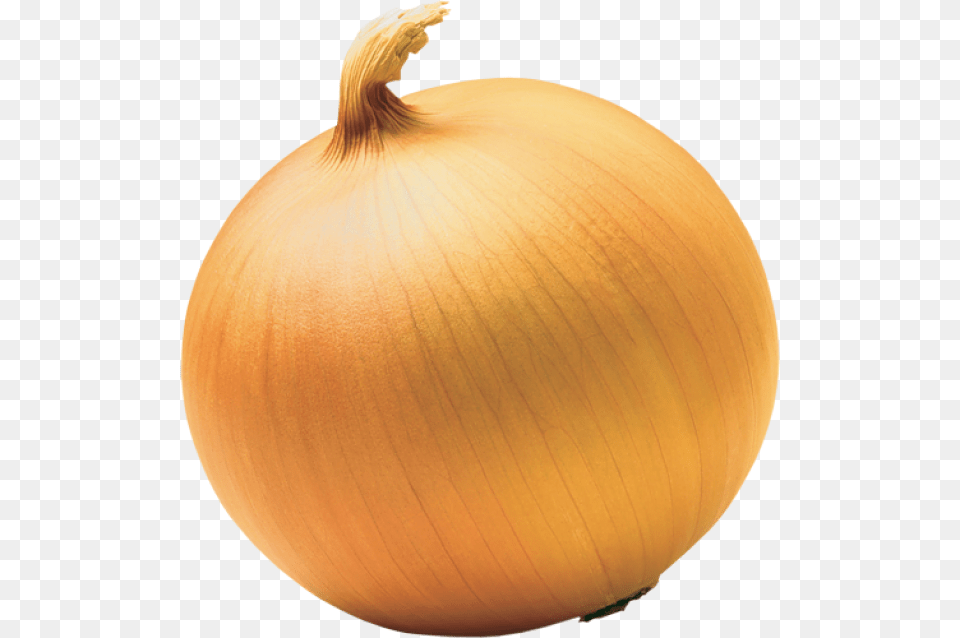 End Of A Onion, Food, Produce, Plant, Vegetable Png