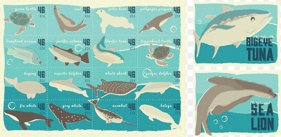 Endangered Sea Life Stamp Amp Postcard Project Shark, Animal, Turtle, Sea Life, Reptile Free Transparent Png