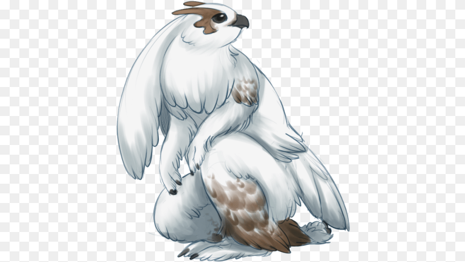 Endivinity Blazikens Pokevariant Pokemon Breeds Blaziken, Animal, Bird, Vulture Png Image