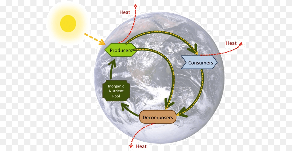 Energy Flow And Biogeochemical Cycles, Nature, Outdoors, Night, Disk Free Png Download