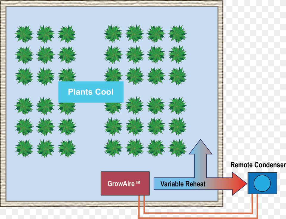 Energy Flow Of Growaire Environmental Control System Cross, Plant, Vegetation, Tree, Outdoors Free Png Download