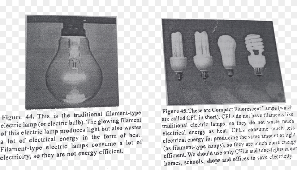 Energy Saving Light Bulbs, Lightbulb Free Transparent Png