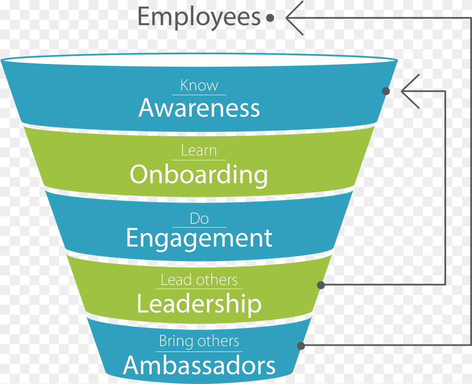 Engagement Funnel, Cup, Chart, Plot, Measuring Cup Free Png Download