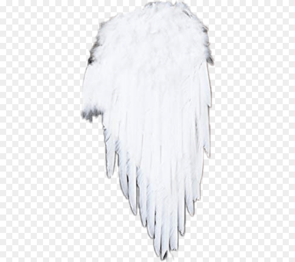 Engelflgelangels Angel Angelwings Engelflgel Darkness, Animal, Bird, Vulture, Ice Png Image