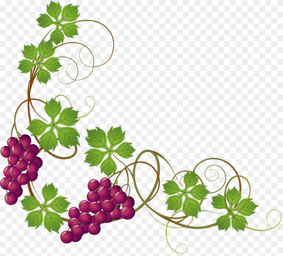 England Clipart Grape, Food, Fruit, Grapes, Plant Free Transparent Png
