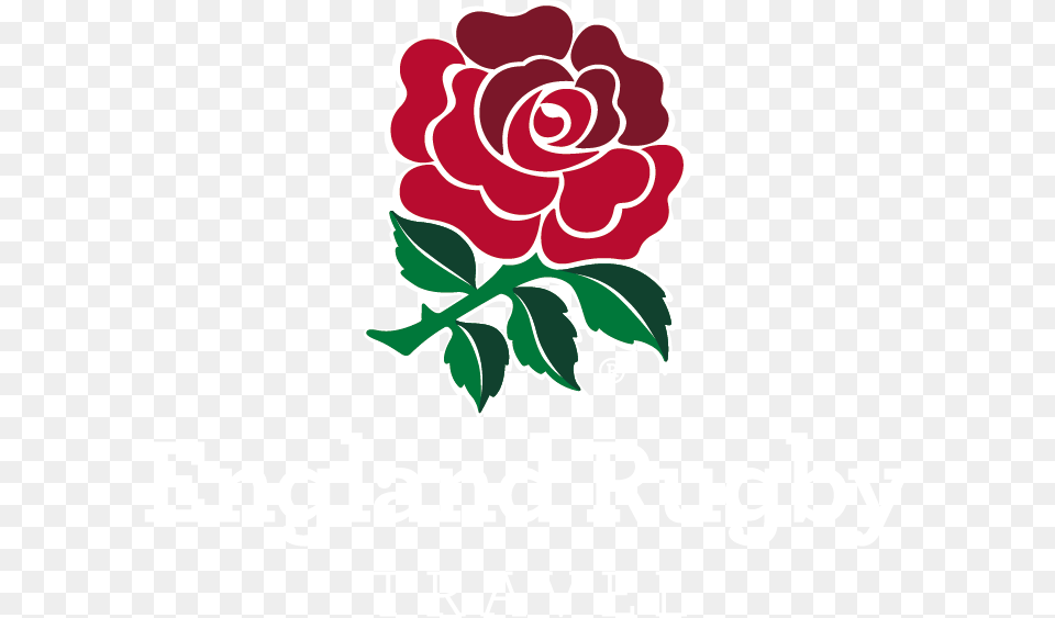 England Rugby Travel Primary Reverse Logo Logo England Rugby World Cup, Flower, Plant, Rose, Art Free Transparent Png