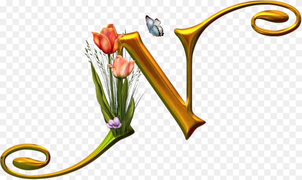 English Alphabet N, Art, Plant, Graphics, Flower Free Png Download