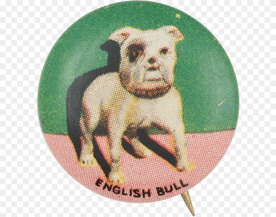 English Bull Art Button Museum Bull And Terrier, Badge, Logo, Symbol, Face Free Png Download