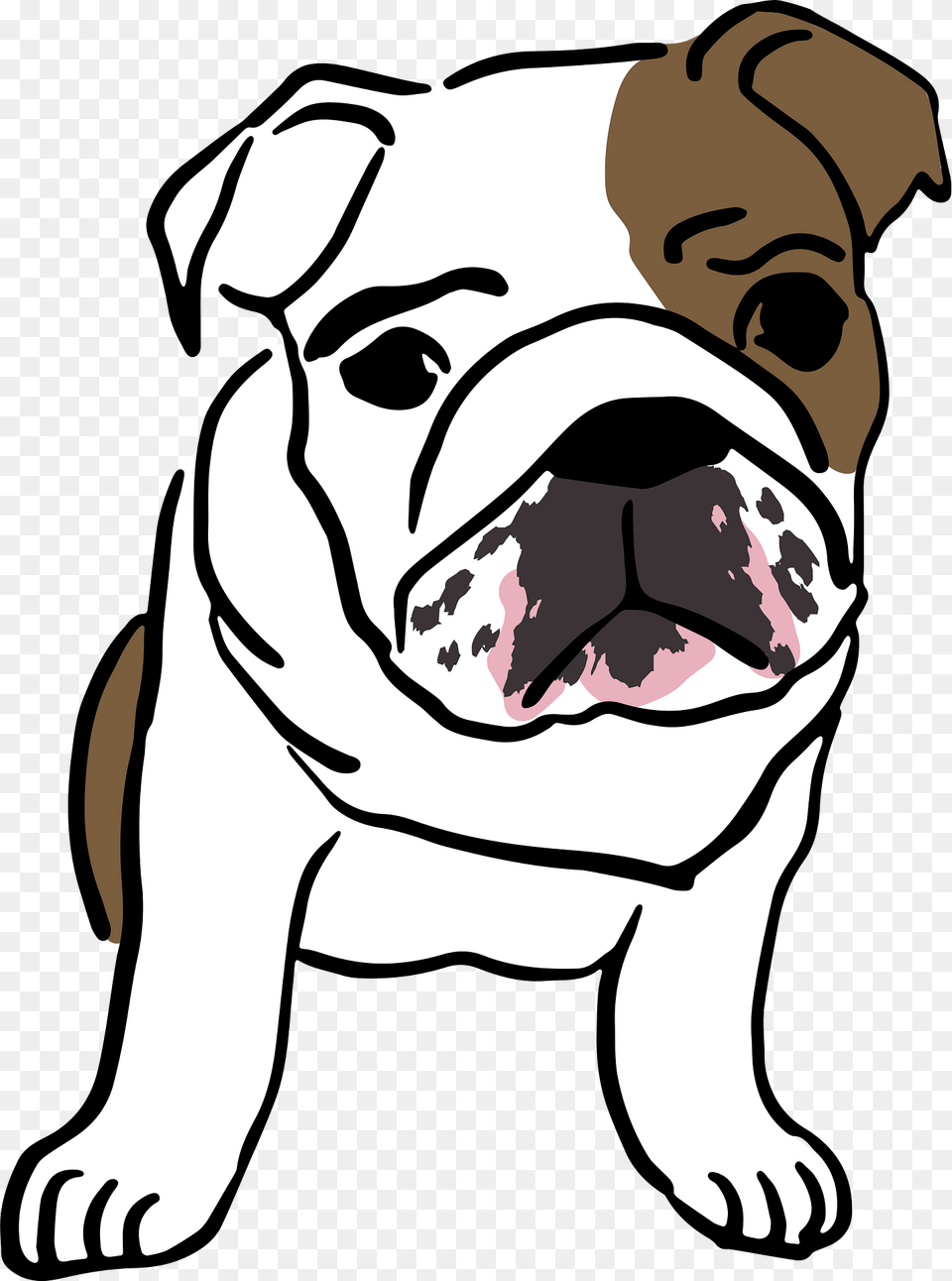 English Bulldog Clipart, Animal, Mammal, Pet, Dog Free Transparent Png