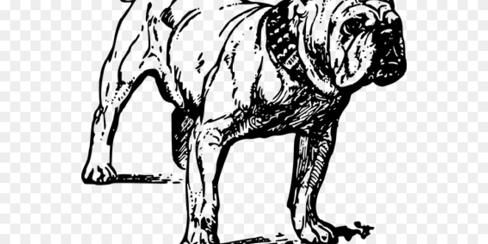 English Bulldog Clipart Dibujo De Un Perro Bulldog, Gray Free Transparent Png