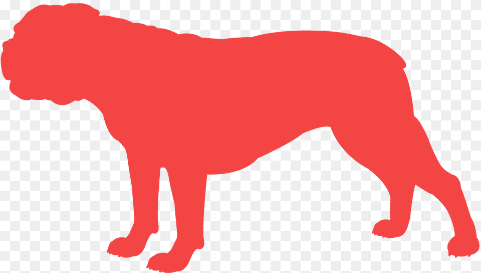English Bulldog Silhouette, Animal, Canine, Mammal, Pet Free Png