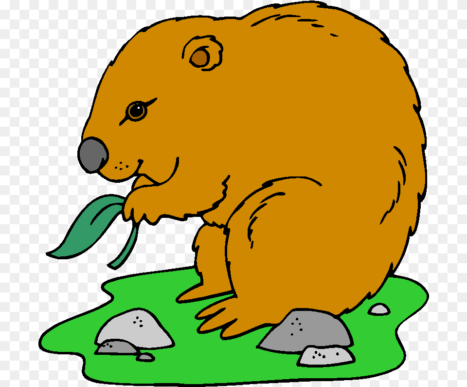 English Exercises Australian Animals Groundhog Eating Clipart, Animal, Mammal, Beaver, Rodent Free Png Download