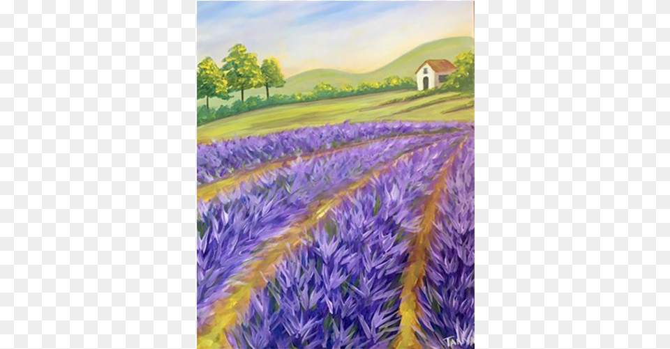 English Lavender, Purple, Plant, Flower, Outdoors Png Image