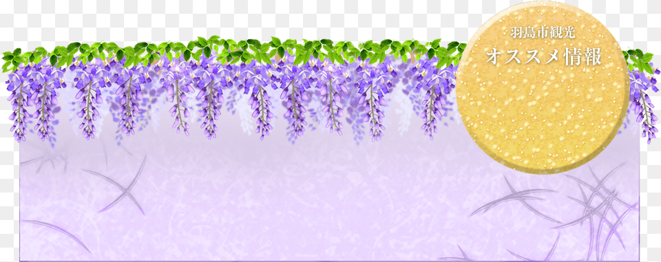 English Lavender, Flower, Plant, Purple Free Png