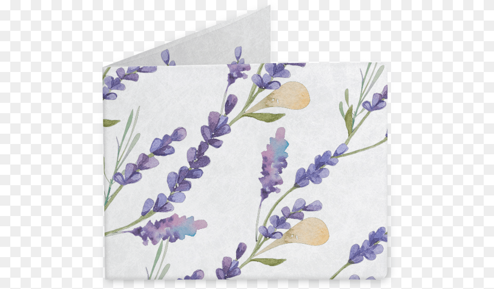English Lavender, Plant, Flower, Envelope, Mail Free Png