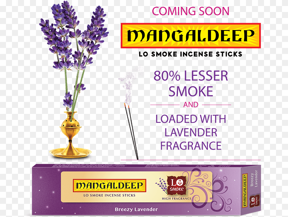 English Lavender, Flower, Plant, Purple, Incense Png Image