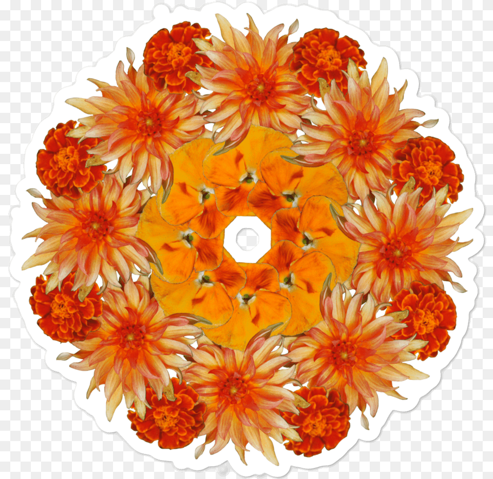 English Marigold, Art, Dahlia, Floral Design, Flower Free Png Download