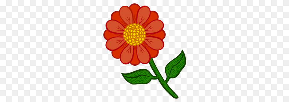 English Marigold Mexican Marigold Annual Plant Flower Southern, Dahlia, Daisy, Petal, Anther Free Transparent Png