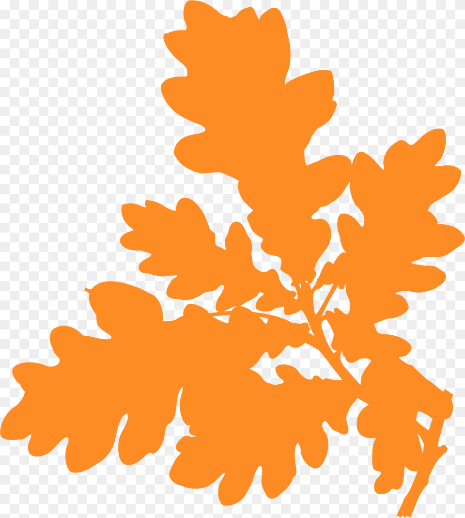English Oak Branch Silhouette, Leaf, Plant, Tree, Food Png Image