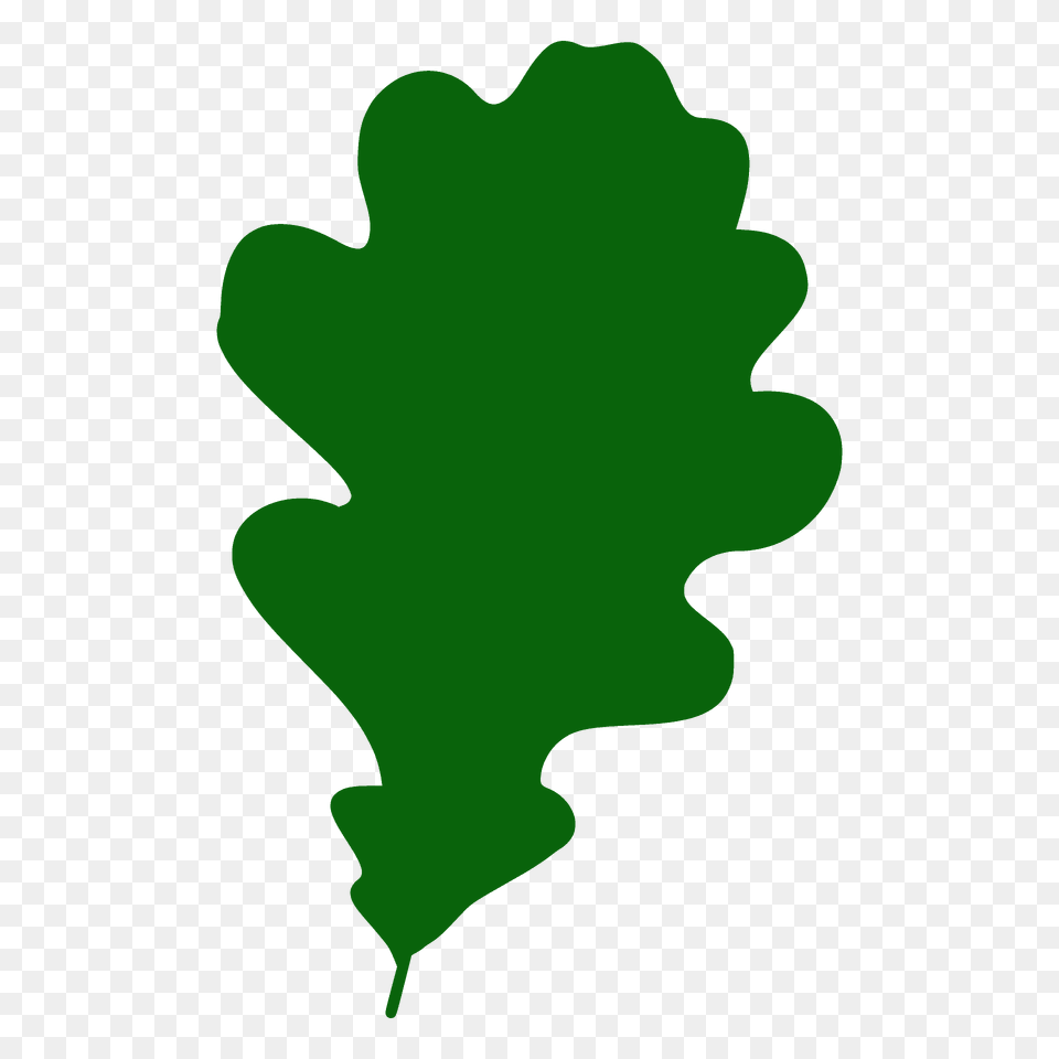 English Oak Leaf Silhouette, Plant, Person Png Image