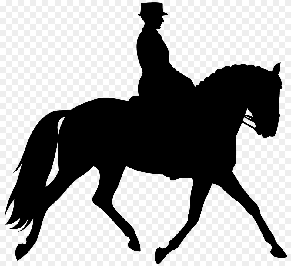 English Riding Silhouette, Animal, Horse, Mammal, Adult Free Png Download